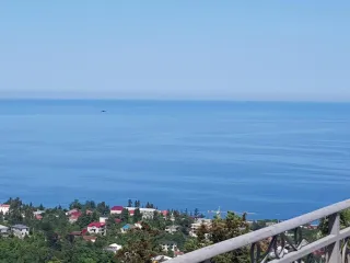 ზელენი ჩემი