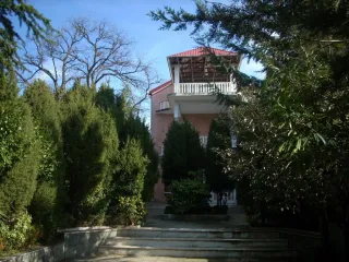 ვალენთინა