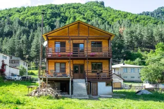 ბადიშის სასტუმრო სახლი