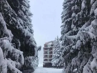 ბაკურიანის ქალაქის ბინა 201