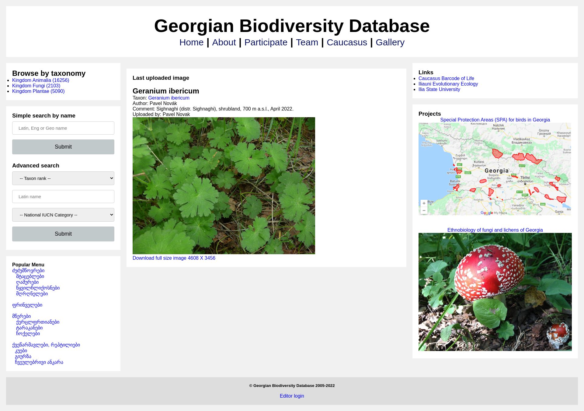 Georgian Biodiversity Database