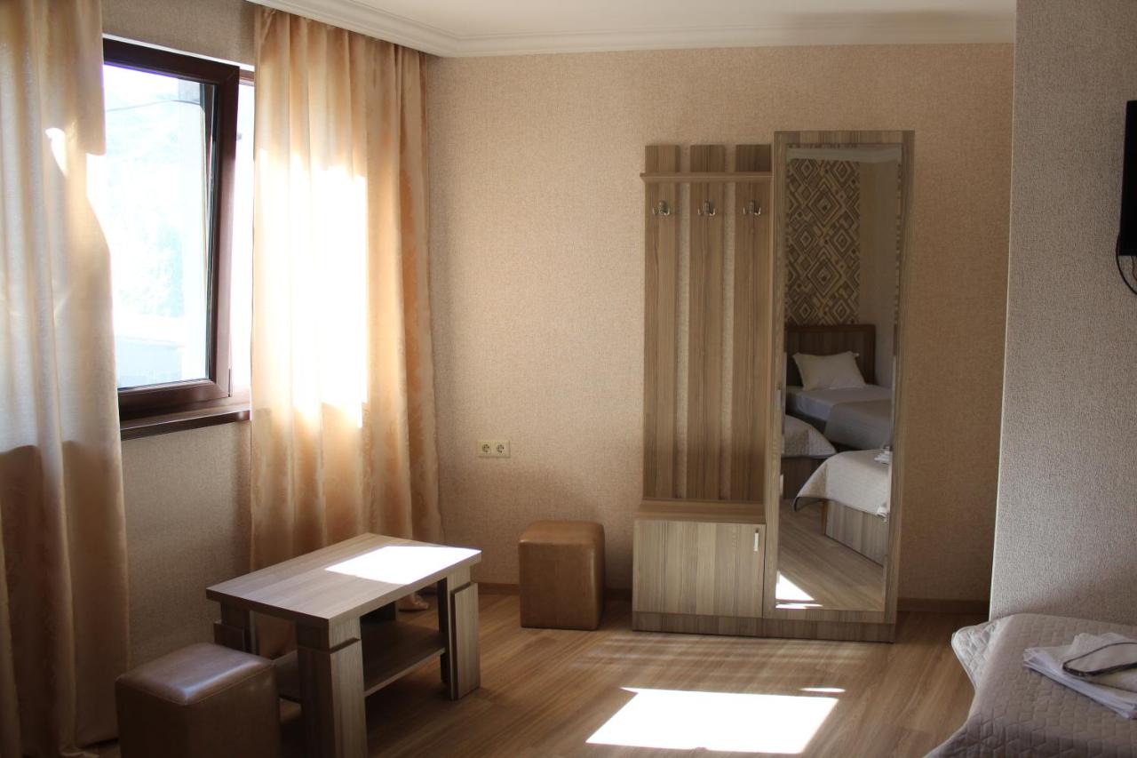 სასტუმრო ემისი - Photo 24