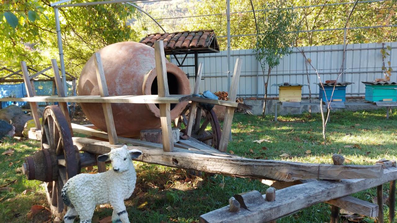 საოჯახო სასტუმრო იმერხევში - Photo 20