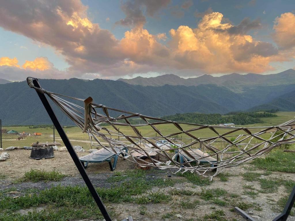 სასტუმრო სახლი ომალო - Photo 1