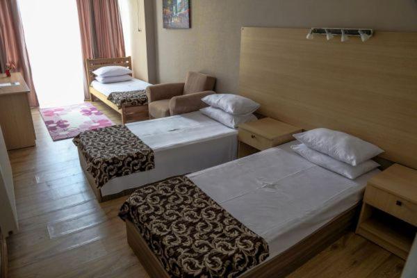 Hotel Borjomi Aisi - Photo 31