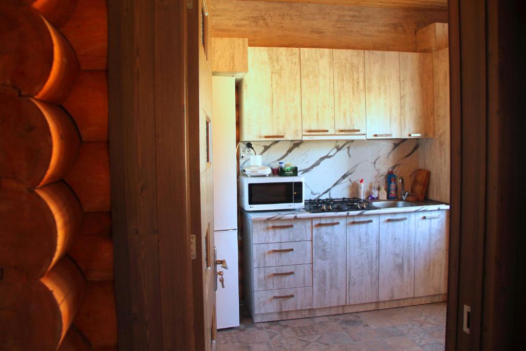 LOG HOUSE - Photo 1