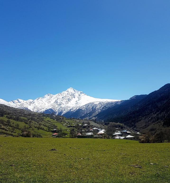 სოზარი ბაბა - Photo 3