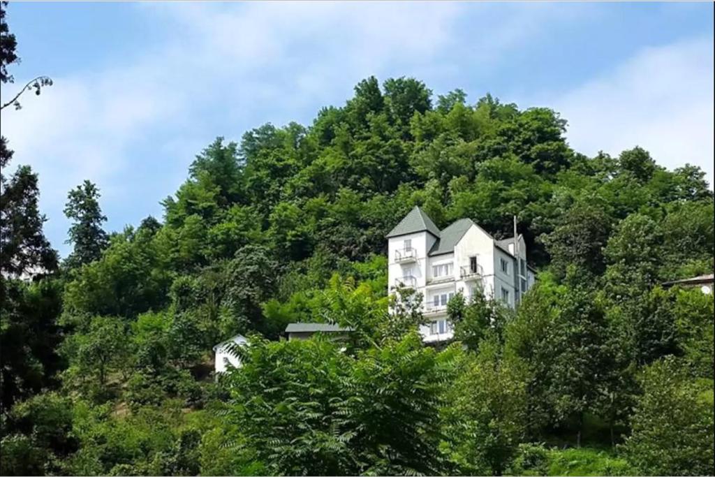 Белый дом в горах, утопающий в зелени - Photo 0