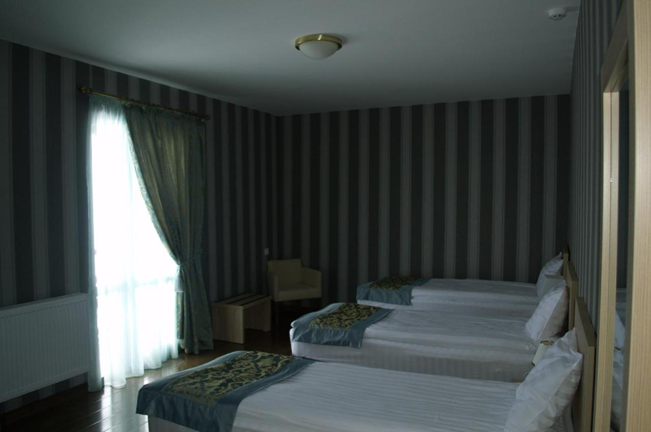 სასტუმრო ედელვაისი - Photo 24