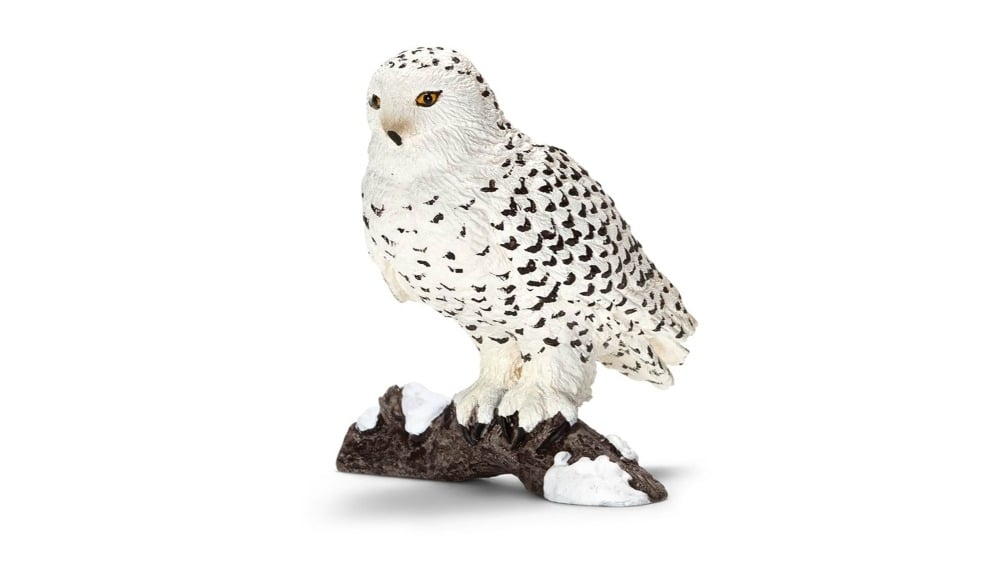 14671  Schl Snowy Owl - Photo 696