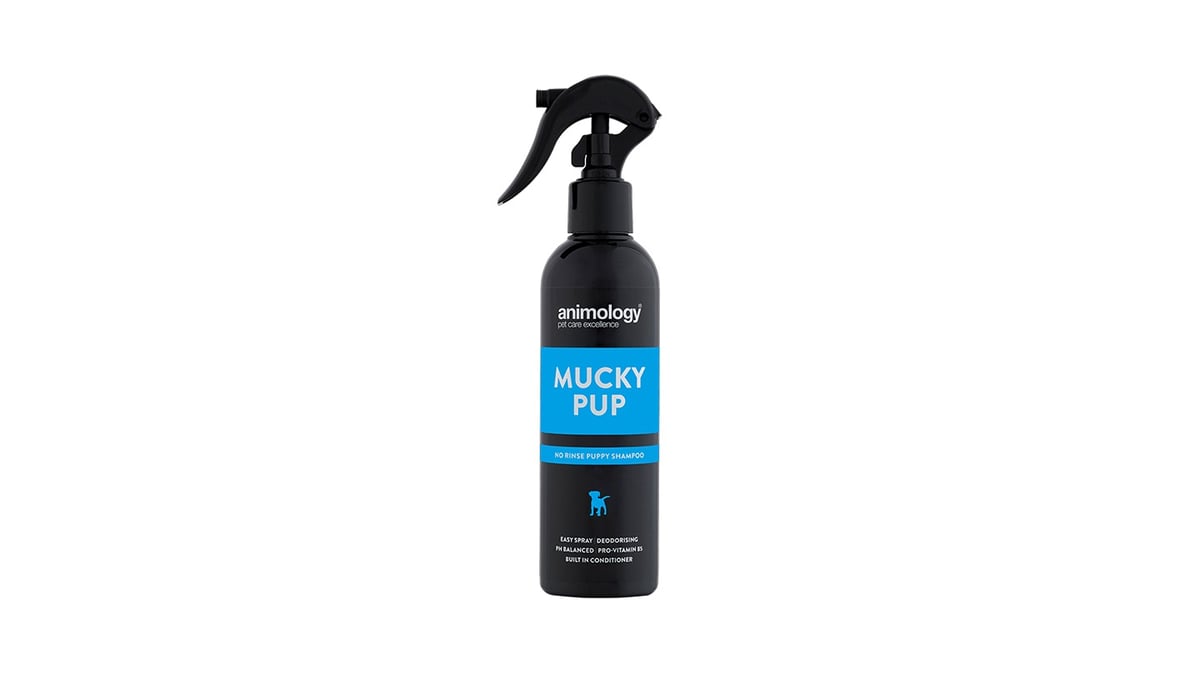 სპრეი ლეკვისთვის Animology Mucky Pup No Rinse Shampoo 250 მლ - Photo 123