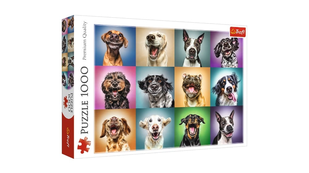 10462  Puzzles  1000  Funny dog portraits  500 px - Photo 210