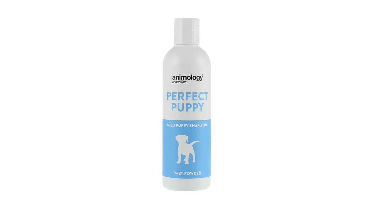 შამპუნი ლეკვისთვის Animology Essential Perfect Puppy Baby Powder Shampoo 250 მლ - Photo 126