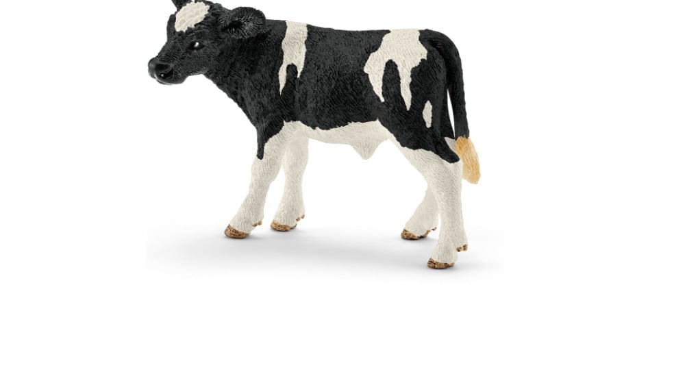 13798  Schl Holstein Calf - Photo 1118