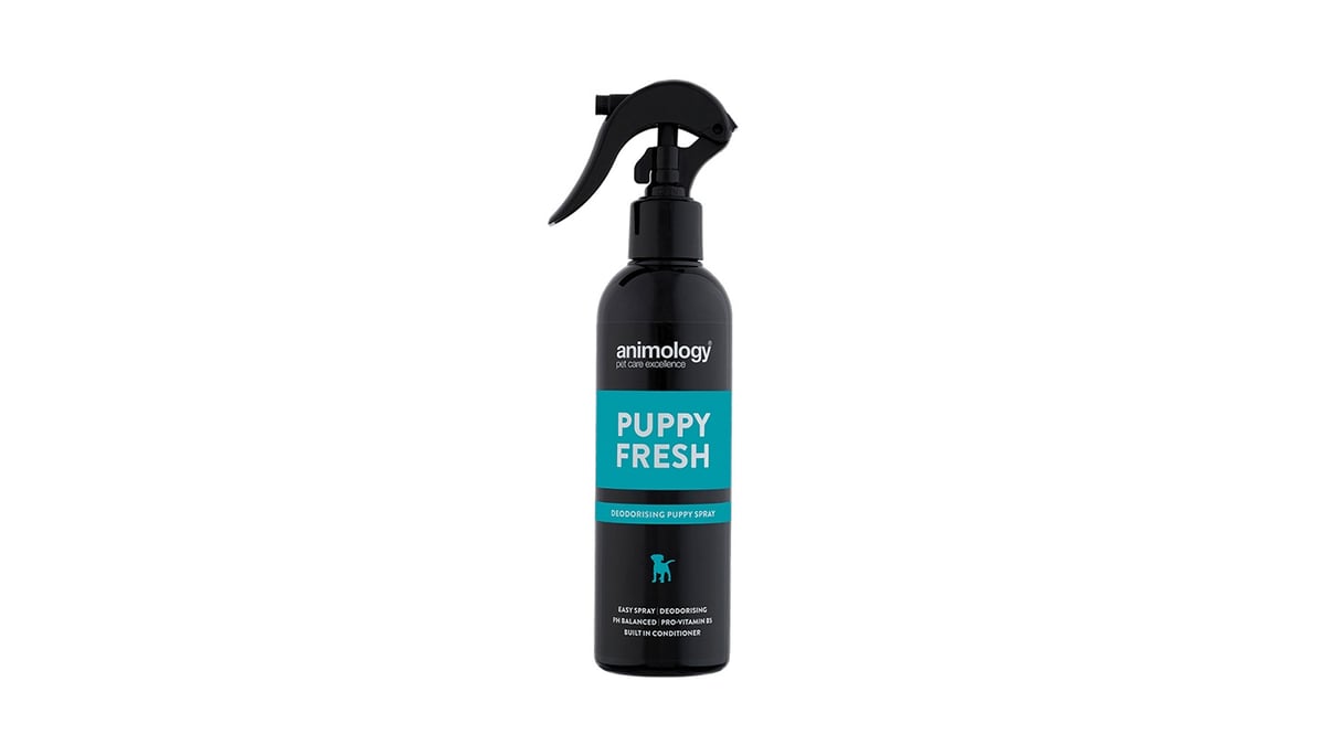 სპრეი ლეკვისთვის Animology Puppy Fresh Refreshing Spray 250 მლ - Photo 122