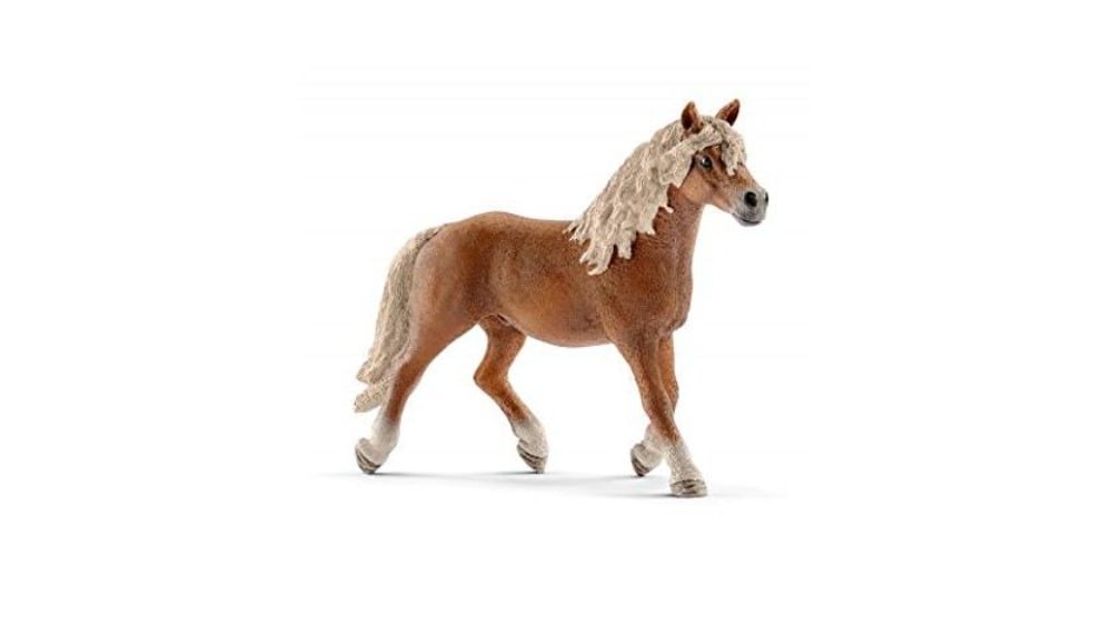 13813  Schl Haflinger stallion - Photo 1125
