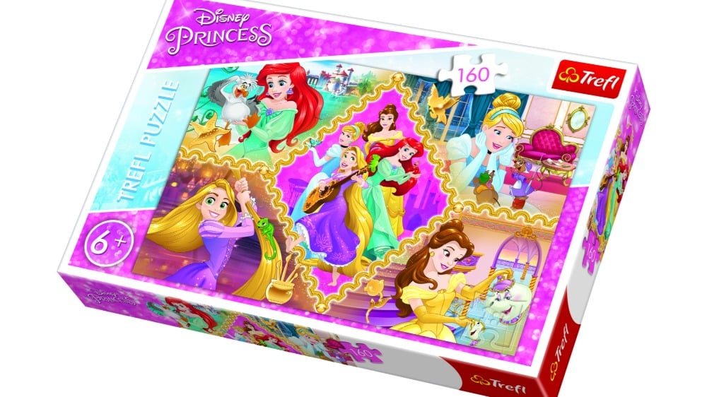 15358  Puzzles  160  Princesses adventures  Disney Princess - Photo 234