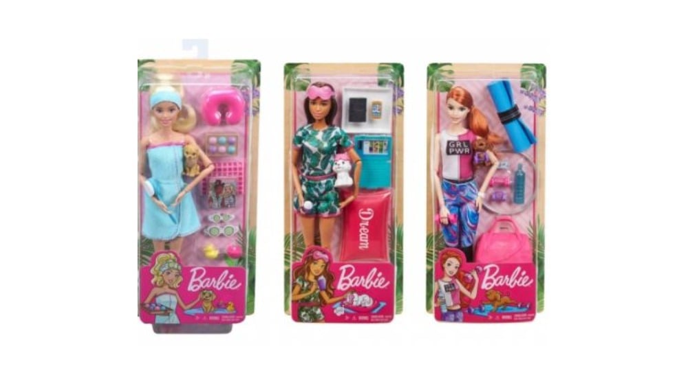 Barbie ჯანსაღი ცხოვრების ნაკრები - Photo 140