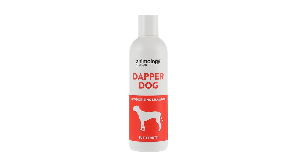 შამპუნი ძაღლისთვის Animology Essentials Dapper Dog Tutti Frutti Shampoo 250 მლ - Photo 126