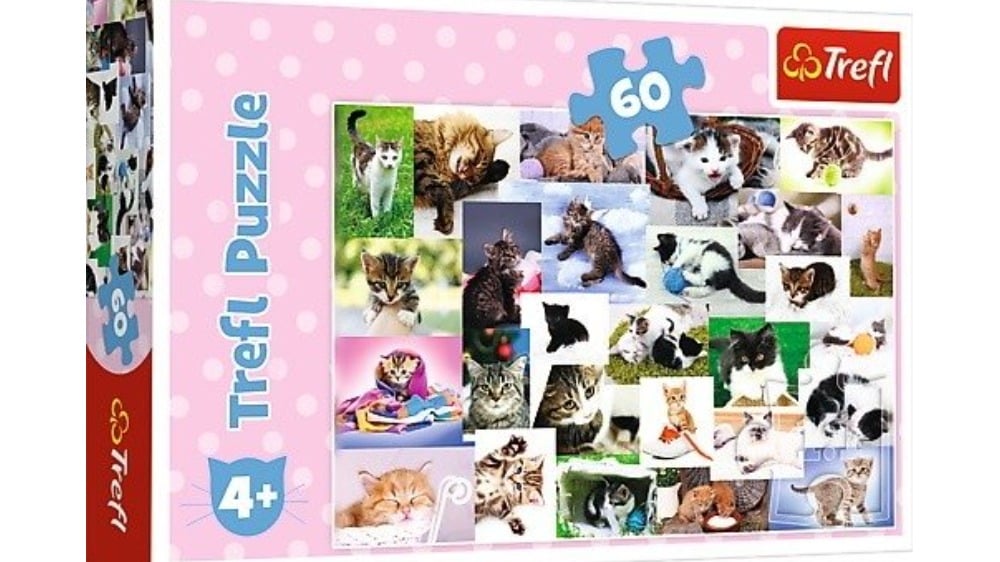 17332  Puzzles  60   Cats world - Photo 259