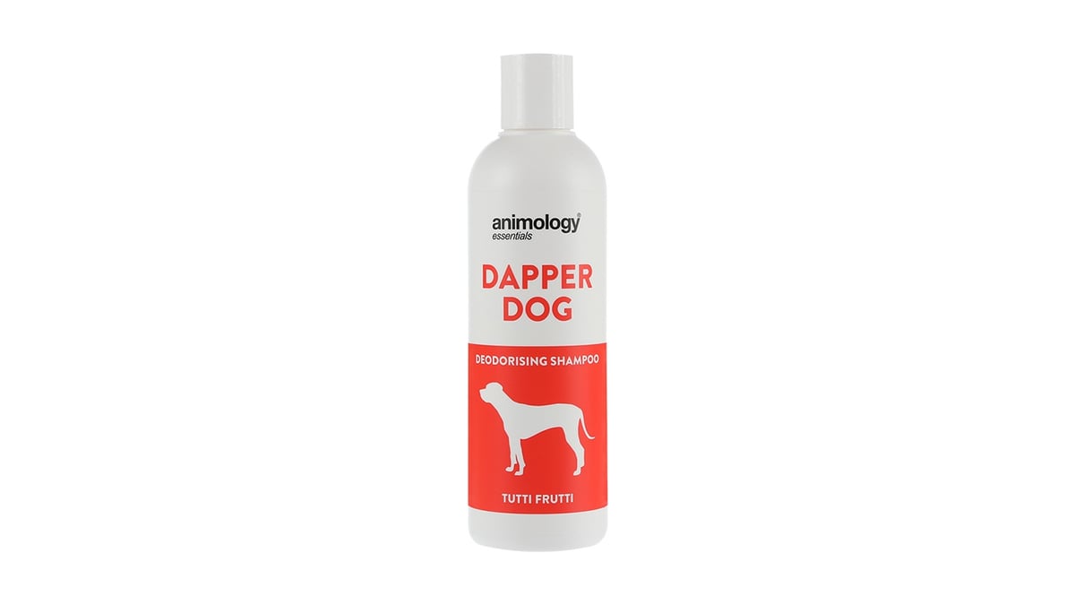 შამპუნი ძაღლისთვის Animology Essentials Dapper Dog Tutti Frutti Shampoo 250 მლ - Photo 128