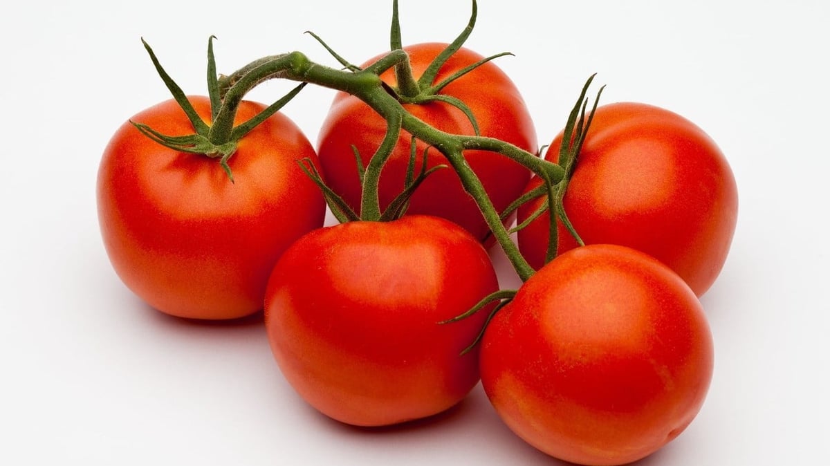 პომიდორი  tomato organic 05 - Photo 51