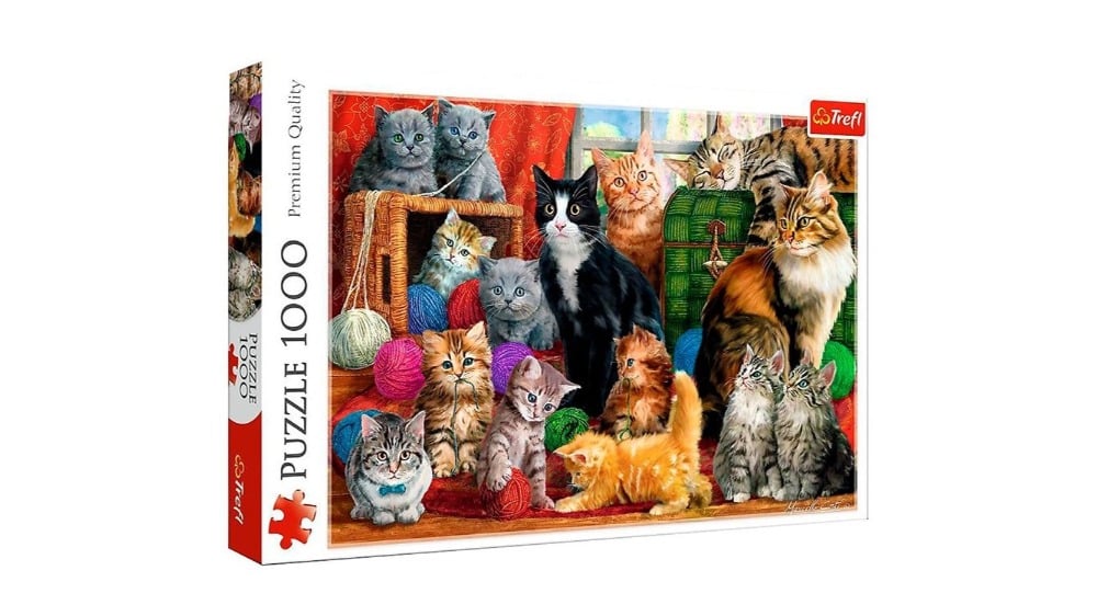 10555  Puzzles  1000  Feline meeting - Photo 128
