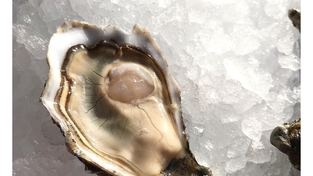 Speciale Sentinelles  Oysters 6 pcs - Photo 15