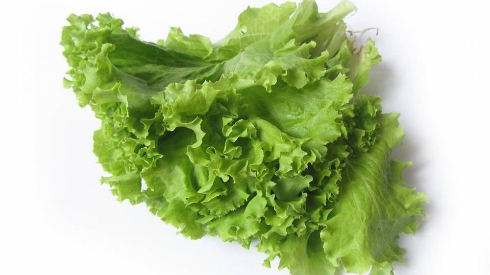 სალათის ფოთოლი 0250 გრ  Lettuce leaf 0250 gr - Photo 59