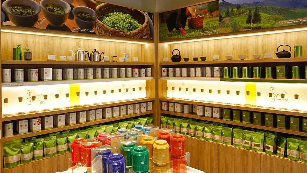 Palais des Thes City Mall Kavtaradze