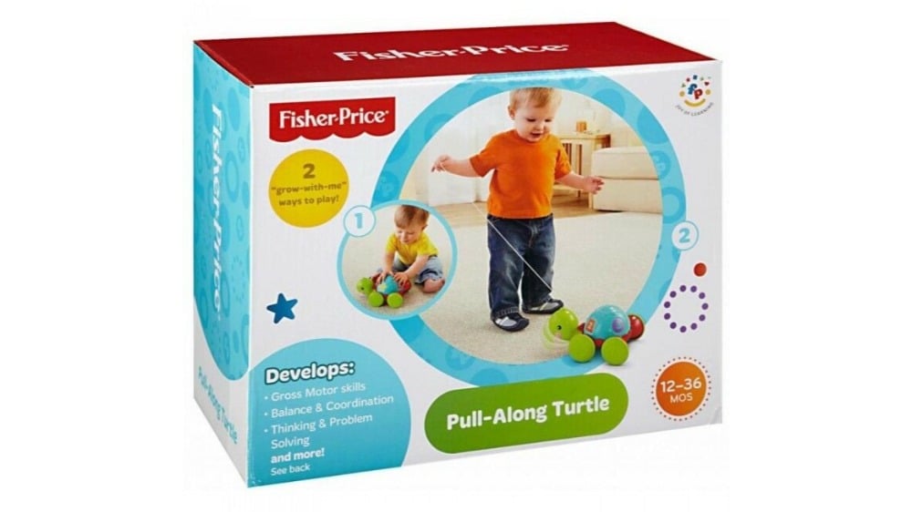 Fisher Price Pull Along Turtle - Photo 1214