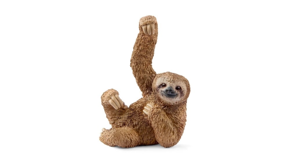 14793  Schl Sloth - Photo 886