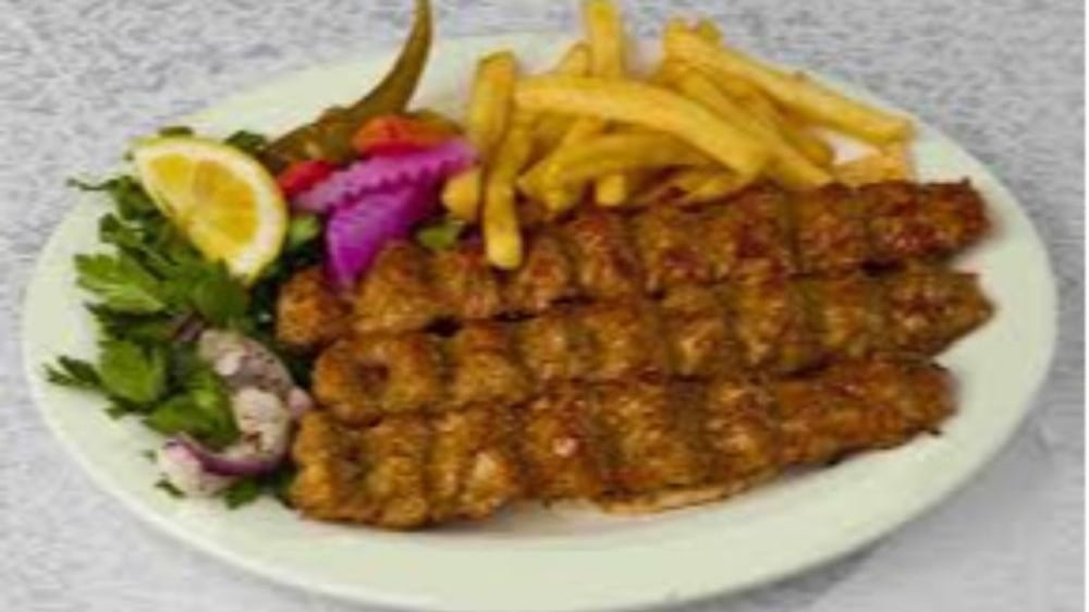 Grilled Kabab Meat with French Fries - Photo 15