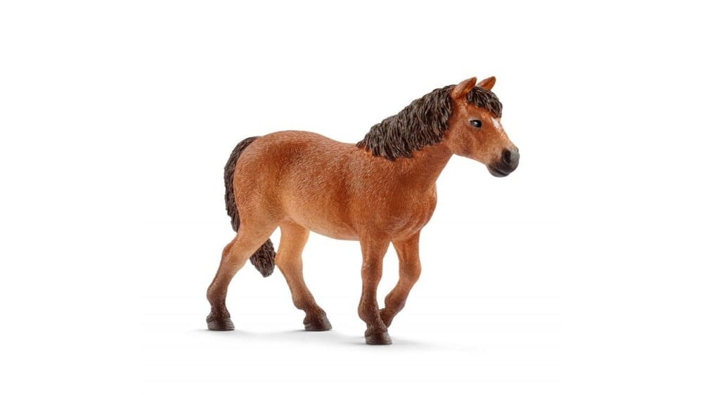 13873S  Schl Dartmoor pony mare - Photo 1136